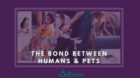The Bond Between Humans & Pets Michelle Beltran (1)